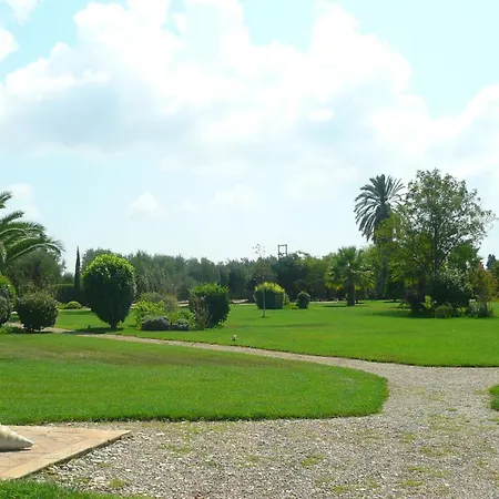 Athina * Αμαλιάδα